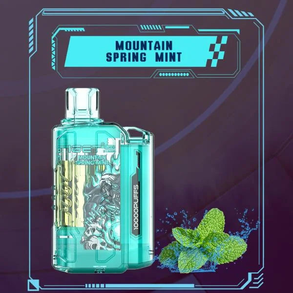 IGET FLARE B10000 – Mountain Spring Mint - Vape.org.in