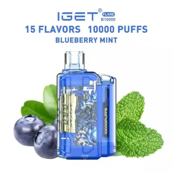 IGET FLARE B10000 – Blueberry Mint - Vape.org.in