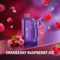 IGET FLARE B10000 disposable vape - Cranberry Raspberry Ice flavour
